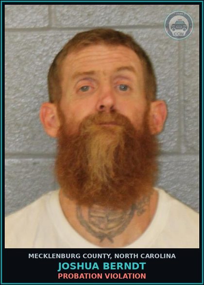 CCW arrest card for JOSHUA BERNDT in Mecklenburg County: PROBATION VIOLATION