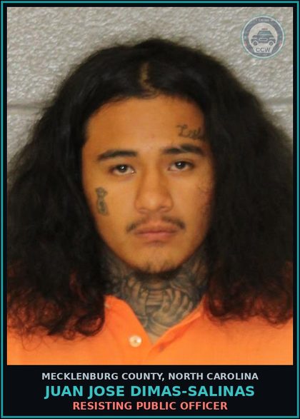 CCW arrest card for JUAN JOSE DIMAS-SALINAS in Mecklenburg County: RESISTING PUBLIC OFFICER