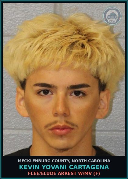 CCW arrest card for KEVIN YOVANI CARTAGENA in Mecklenburg County: FLEE/ELUDE ARREST W/MV (F)