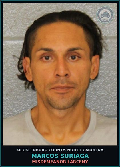 CCW arrest card for MARCOS SURIAGA in Mecklenburg County: MISDEMEANOR LARCENY