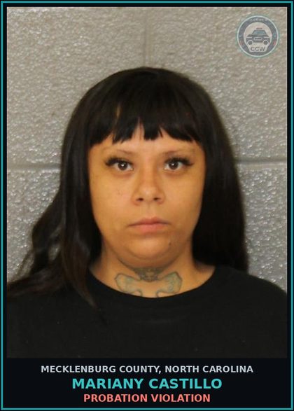 CCW arrest card for MARIANY CASTILLO in Mecklenburg County: PROBATION VIOLATION