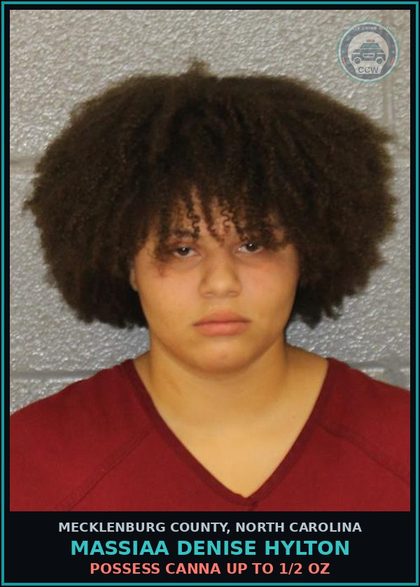 CCW arrest card for MASSIAA DENISE HYLTON in Mecklenburg County: POSSESS Canna UP TO 1/2 OZ