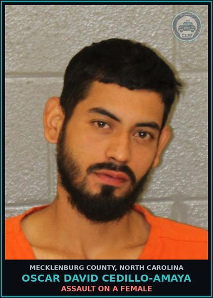 CCW arrest card for OSCAR DAVID CEDILLO-AMAYA in Mecklenburg County: MISD CRIME OF DOM VIOLENCE