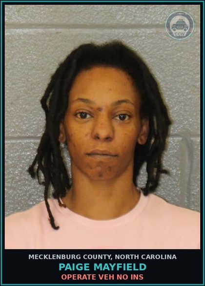 CCW arrest card for PAIGE MAYFIELD in Mecklenburg County: OPERATE VEH NO INS