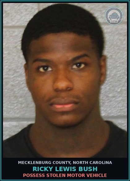 CCW arrest card for RICKY LEWIS BUSH in Mecklenburg County: POSSESS STOLEN MOTOR VEHICLE