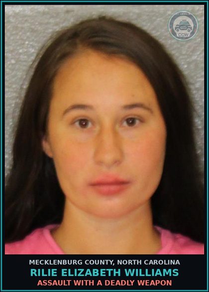 CCW arrest card for RILIE ELIZABETH WILLIAMS in Mecklenburg County: MISD CRIME OF DOM VIOLENCE