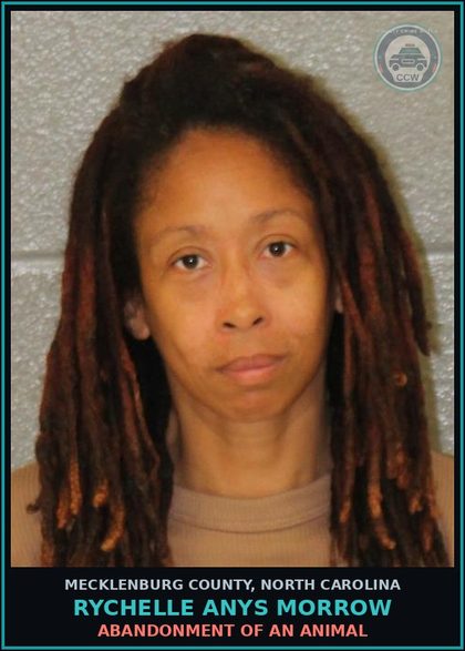 CCW arrest card for RYCHELLE ANYS MORROW in Mecklenburg County: ABANDONMENT OF AN ANIMAL