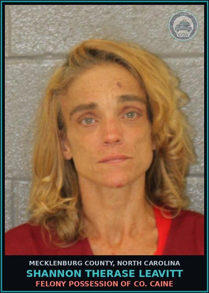 CCW arrest card for SHANNON THERASE LEAVITT in Mecklenburg County: BREAKING OR ENTERING (M)