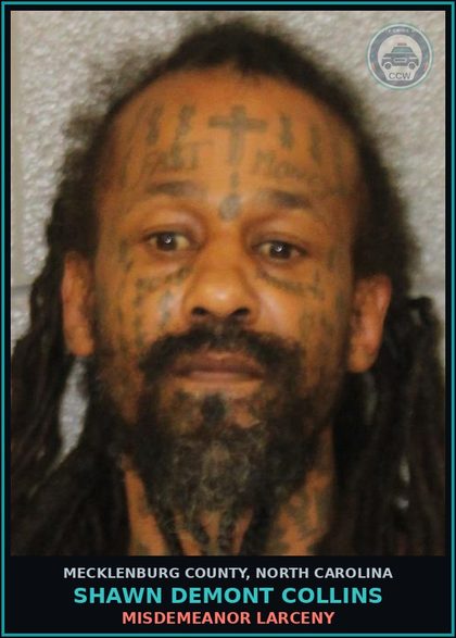 CCW arrest card for SHAWN DEMONT COLLINS in Mecklenburg County: MISDEMEANOR LARCENY