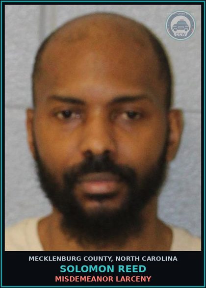 CCW arrest card for SOLOMON REED in Mecklenburg County: MISDEMEANOR LARCENY