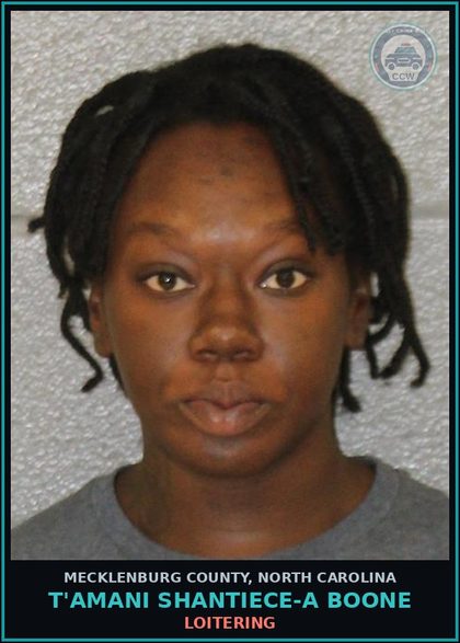 CCW arrest card for T'AMANI SHANTIECE-A BOONE in Mecklenburg County: LOITERING