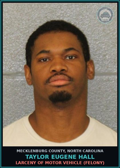CCW arrest card for TAYLOR EUGENE HALL in Mecklenburg County: LARCENY OF MOTOR VEHICLE (FELONY)