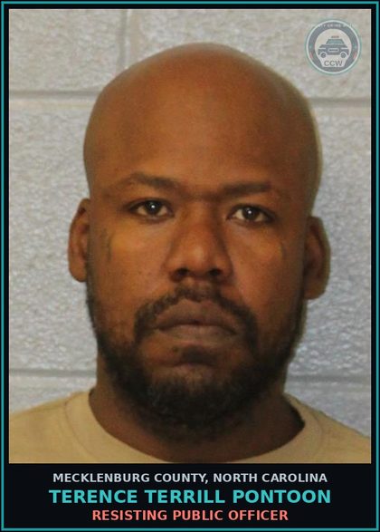 CCW arrest card for TERENCE TERRILL PONTOON in Mecklenburg County: DWLR NOT IMPAIRED REV