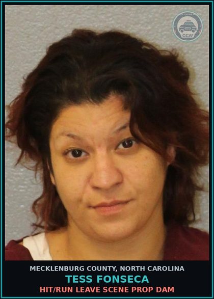 CCW arrest card for TESS FONSECA in Mecklenburg County: HIT/RUN LEAVE SCENE PROP DAM