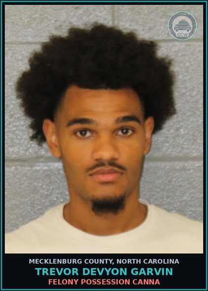 CCW arrest card for TREVOR DEVYON GARVIN in Mecklenburg County: FELONY POSSESSION Canna