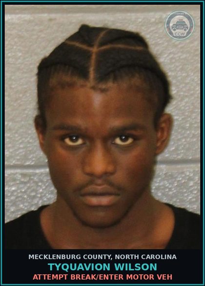 CCW arrest card for TYQUAVION WILSON in Mecklenburg County: ATTEMPT BREAK/ENTER MOTOR VEH