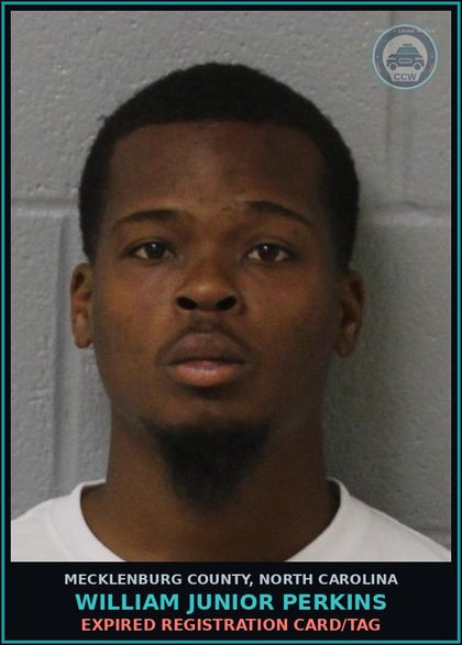 CCW arrest card for WILLIAM JUNIOR PERKINS in Mecklenburg County: EXPIRED REGISTRATION CARD/TAG