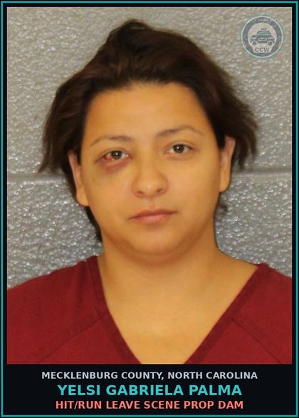 CCW arrest card for YELSI GABRIELA PALMA in Mecklenburg County: HIT/RUN LEAVE SCENE PROP DAM
