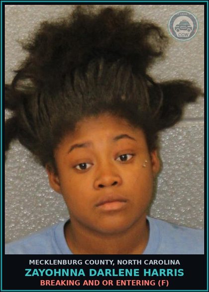 CCW arrest card for ZAYOHNNA DARLENE HARRIS in Mecklenburg County: BREAKING AND OR ENTERING (F)