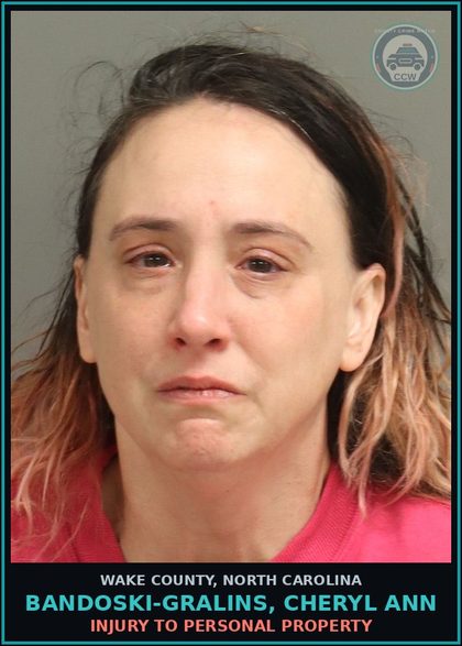 CCW arrest card for Bandoski-Gralins, Cheryl Ann in Wake County: INJURY TO PERSONAL PROPERTY