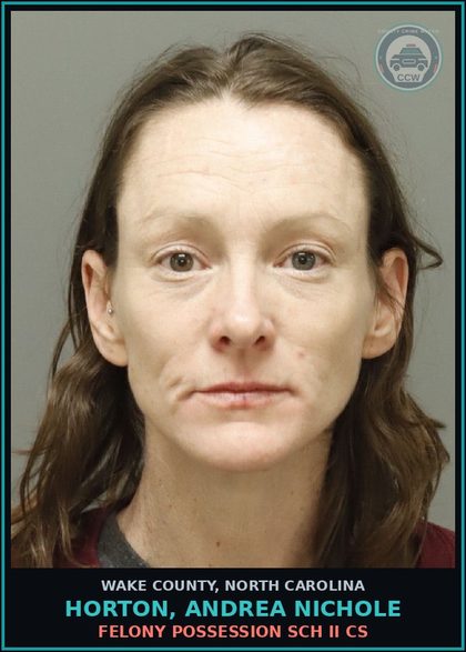 CCW arrest card for Horton, Andrea Nichole in Wake County: FTA-POSSESS DRUG PARAPHERNALIA