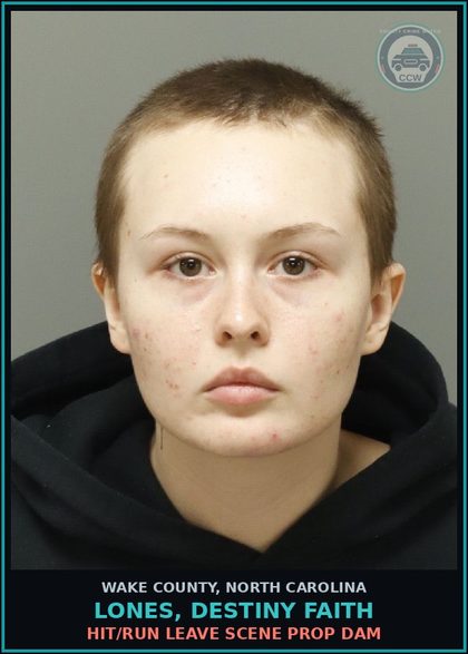 CCW arrest card for Lones, Destiny Faith in Wake County: HIT/RUN LEAVE SCENE PROP DAM