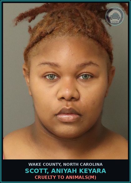 CCW arrest card for Scott, Aniyah Keyara in Wake County: CRUELTY TO ANIMALS(M)