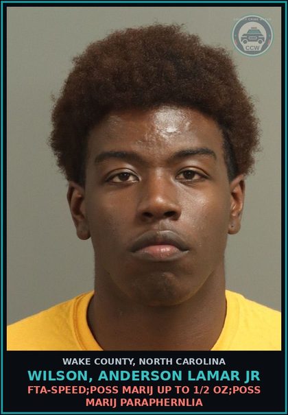 CCW arrest card for Wilson, Anderson Lamar Jr in Wake County: FTA-SPEED;POSS MARIJ UP TO 1/2 OZ;POSS MARIJ PARAPHERNLIA