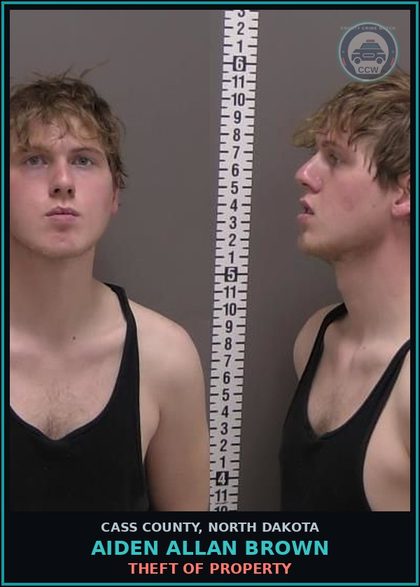 CCW arrest card for Aiden Allan Brown in Cass County: THEFT OF PROPERTY
