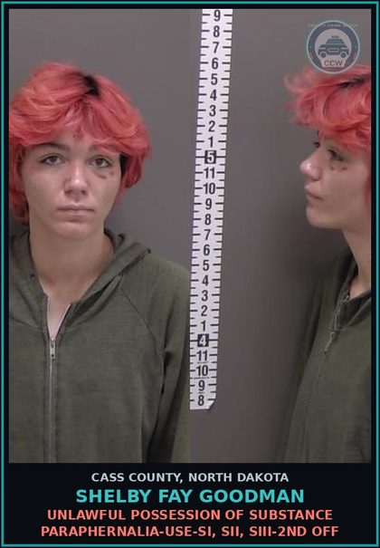 CCW arrest card for Shelby Fay Goodman in Cass County: Unlawful possession of drug paraphernalia-Use-SI, SII, SIII-2nd off