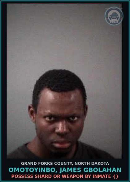 CCW arrest card for Omotoyinbo, James Gbolahan in Grand Forks County: Violation of Foreign Protection Order - subsequent violation {14-07.4-07}