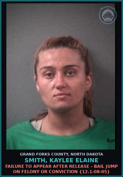 CCW arrest card for Smith, Kaylee Elaine in Grand Forks County: Theft - Take - $500-$1,000 {12.1-23-02(1)}