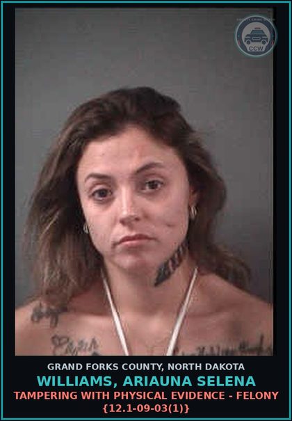 CCW arrest card for Williams, Ariauna Selena in Grand Forks County: Poss of CS - Methamp - 2nd or subsequent offense {19-03.1-23(7)(a)}