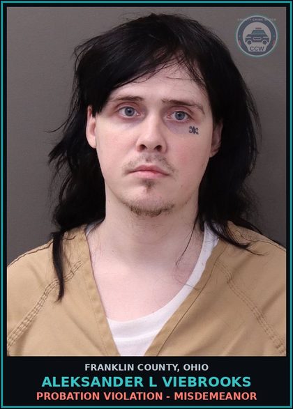 CCW arrest card for Aleksander L Viebrooks in Franklin County: PROBATION VIOLATION - MISDEMEANOR
