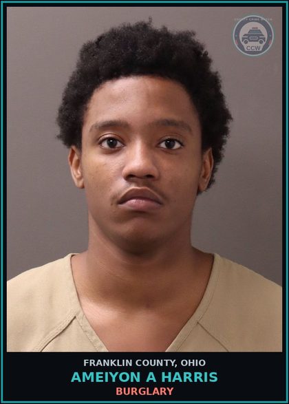 CCW arrest card for Ameiyon A Harris in Franklin County: FALSIFICATION