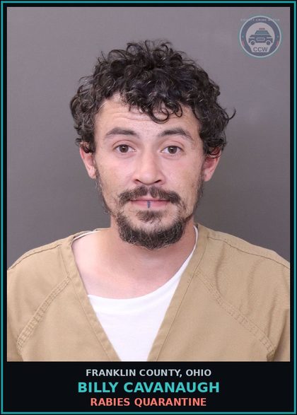 CCW arrest card for Billy Cavanaugh in Franklin County: RABIES QUARANTINE