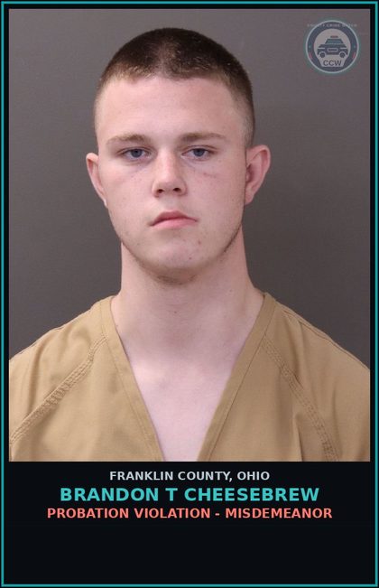 CCW arrest card for Brandon T Cheesebrew in Franklin County: PUBLIC INDECENCY