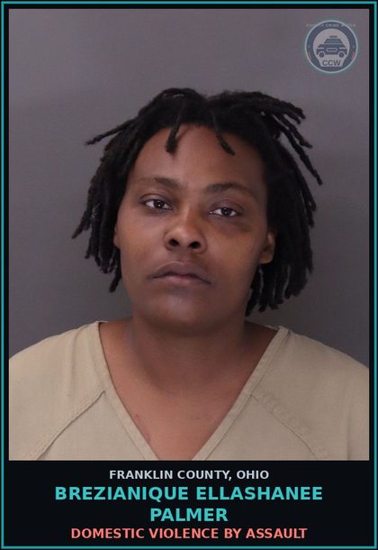 CCW arrest card for Brezianique Ellashanee Palmer in Franklin County: DOMESTIC VIOLENCE BY ASSAULT