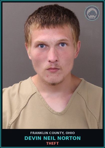 CCW arrest card for Devin Neil Norton in Franklin County: THEFT