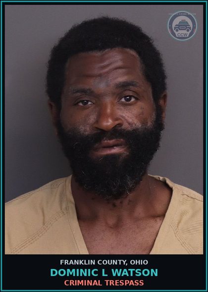 CCW arrest card for Dominic L Watson in Franklin County: PEDESTRIAN ON HIGHWAY - USE OF SIDEWALKS