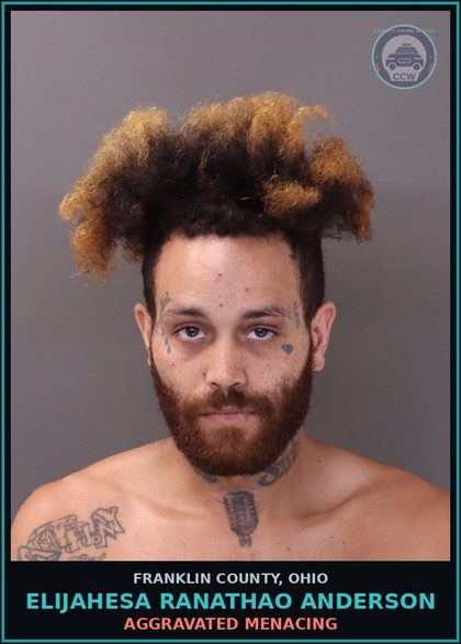 CCW arrest card for Elijahesa Ranathao Anderson in Franklin County: AGGRAVATED MENACING