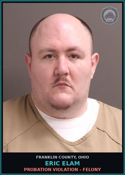 CCW arrest card for Eric Elam in Franklin County: PROBATION VIOLATION - FELONY
