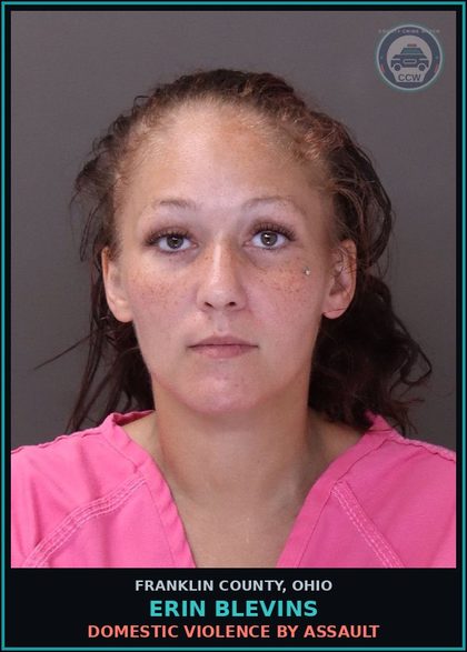 CCW arrest card for Erin Blevins in Franklin County: DOMESTIC VIOLENCE BY ASSAULT