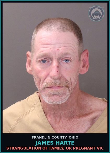 CCW arrest card for James Harte in Franklin County: STRANGULATION OF FAMILY, OR PREGNANT VICTIM