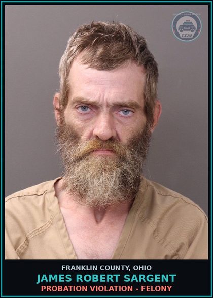 CCW arrest card for James Robert Sargent in Franklin County: PROBATION VIOLATION - FELONY