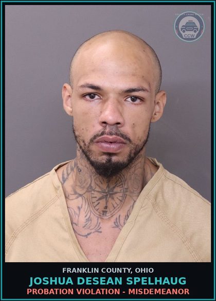 CCW arrest card for Joshua Desean Spelhaug in Franklin County: PROBATION VIOLATION - MISDEMEANOR