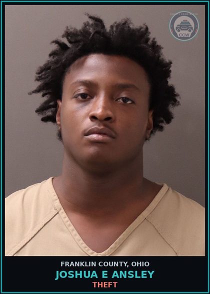 CCW arrest card for Joshua E Ansley in Franklin County: THEFT