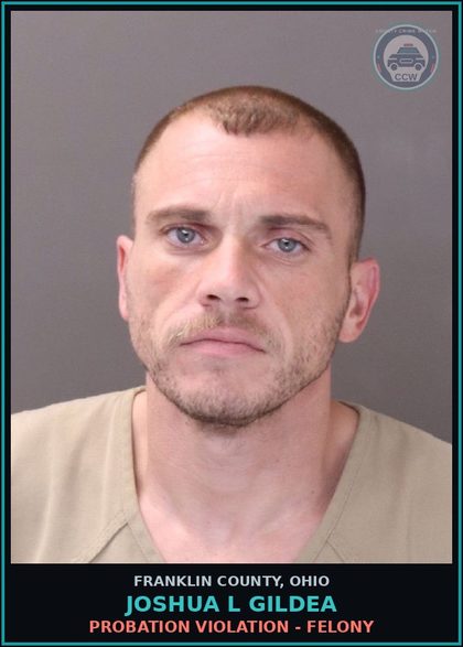 CCW arrest card for Joshua L Gildea in Franklin County: THEFT
