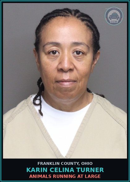 CCW arrest card for Karin Celina Turner in Franklin County: ANIMALS RUNNING AT LARGE