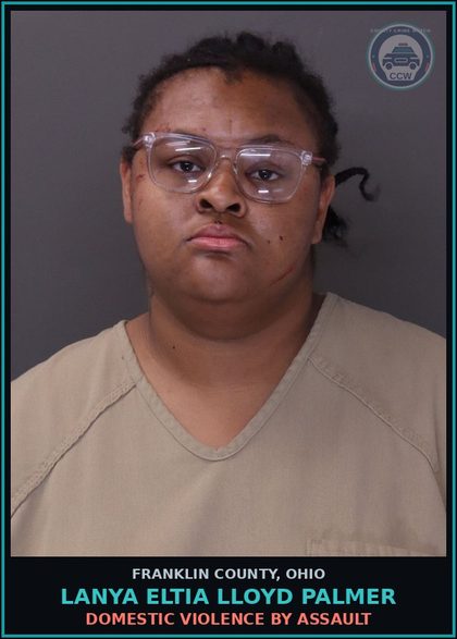 CCW arrest card for Lanya Eltia Lloyd Palmer in Franklin County: DOMESTIC VIOLENCE BY ASSAULT